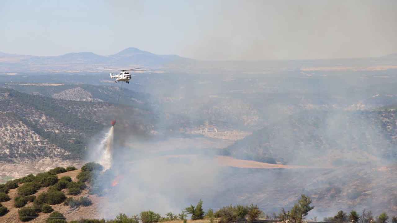 Denizli Çal'da makilik alanda çıkan yangında 20 hektar alan zarar gördü