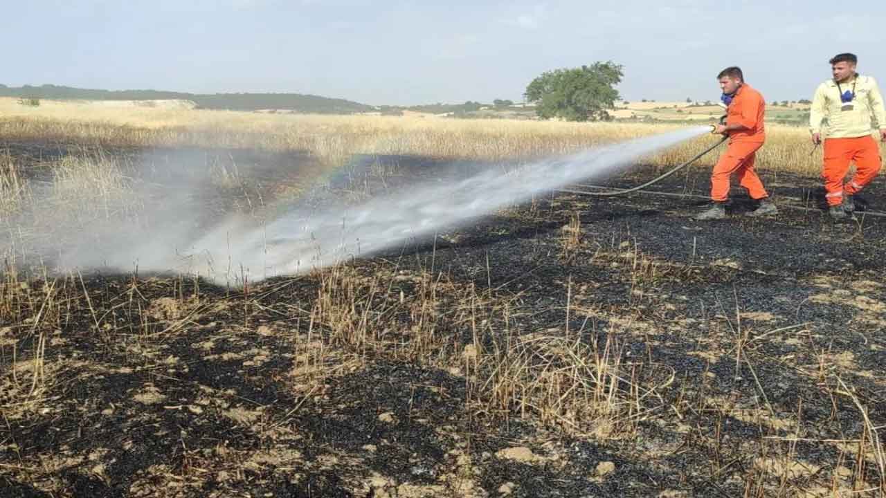 Kütahya Dumlupınar'da tarım arazisinde yangın!