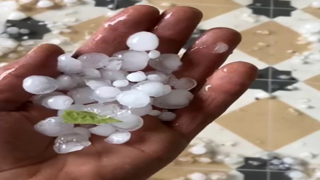 Manisa Akhisar’da aniden bastıran dolu yağışı ekinlere zarar verdi