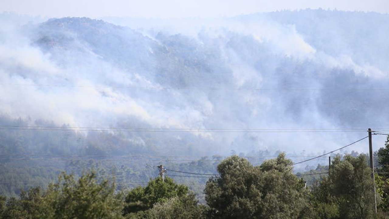 Muğla Bodrum orman yangınında son durum ne yangın kontrol altına alındı mı?
