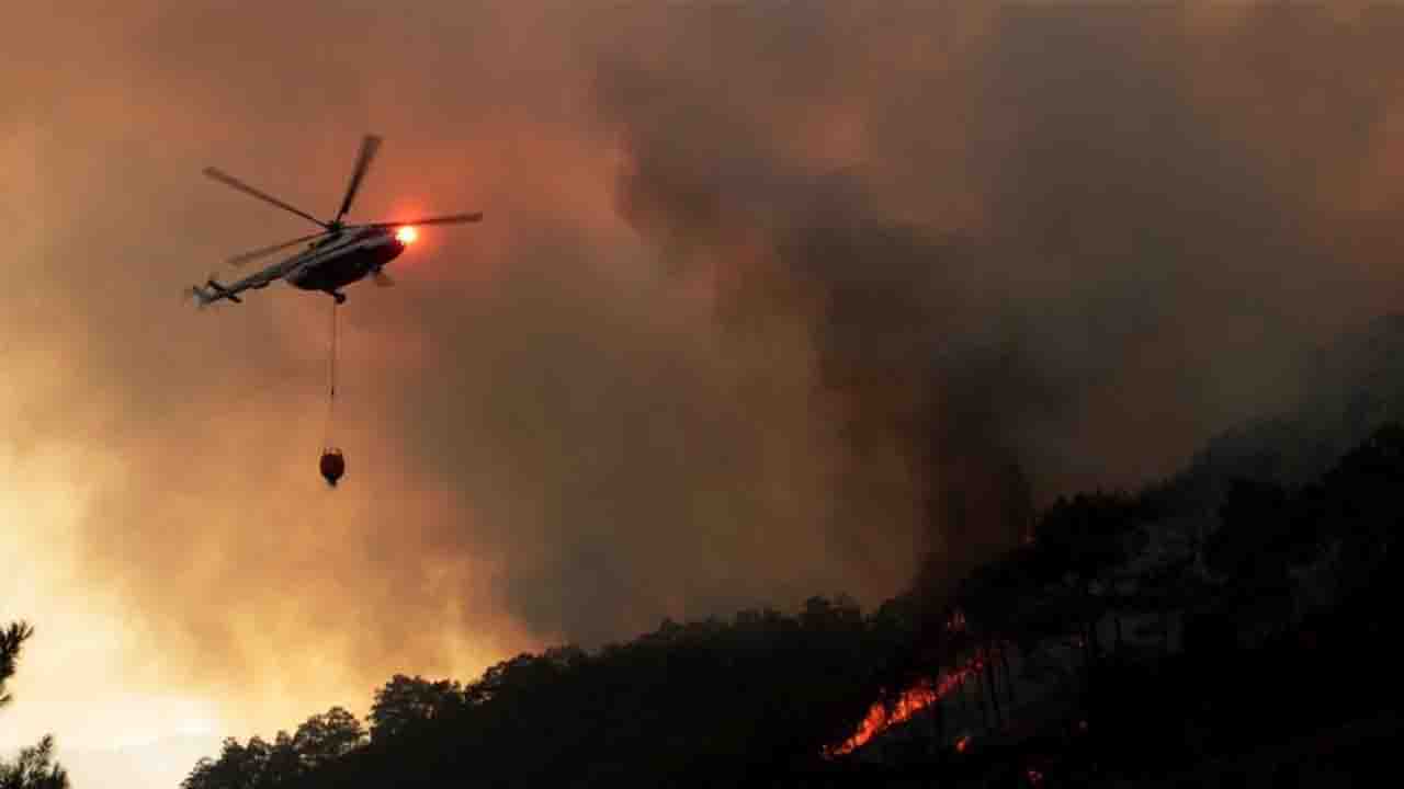 Aydın ve Muğla'da yıldırım kaynaklı 30 orman yangını çıktı!