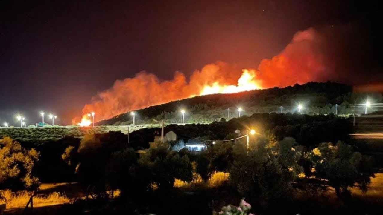 İzmir Urla'da orman yangını kontrol altına alındı