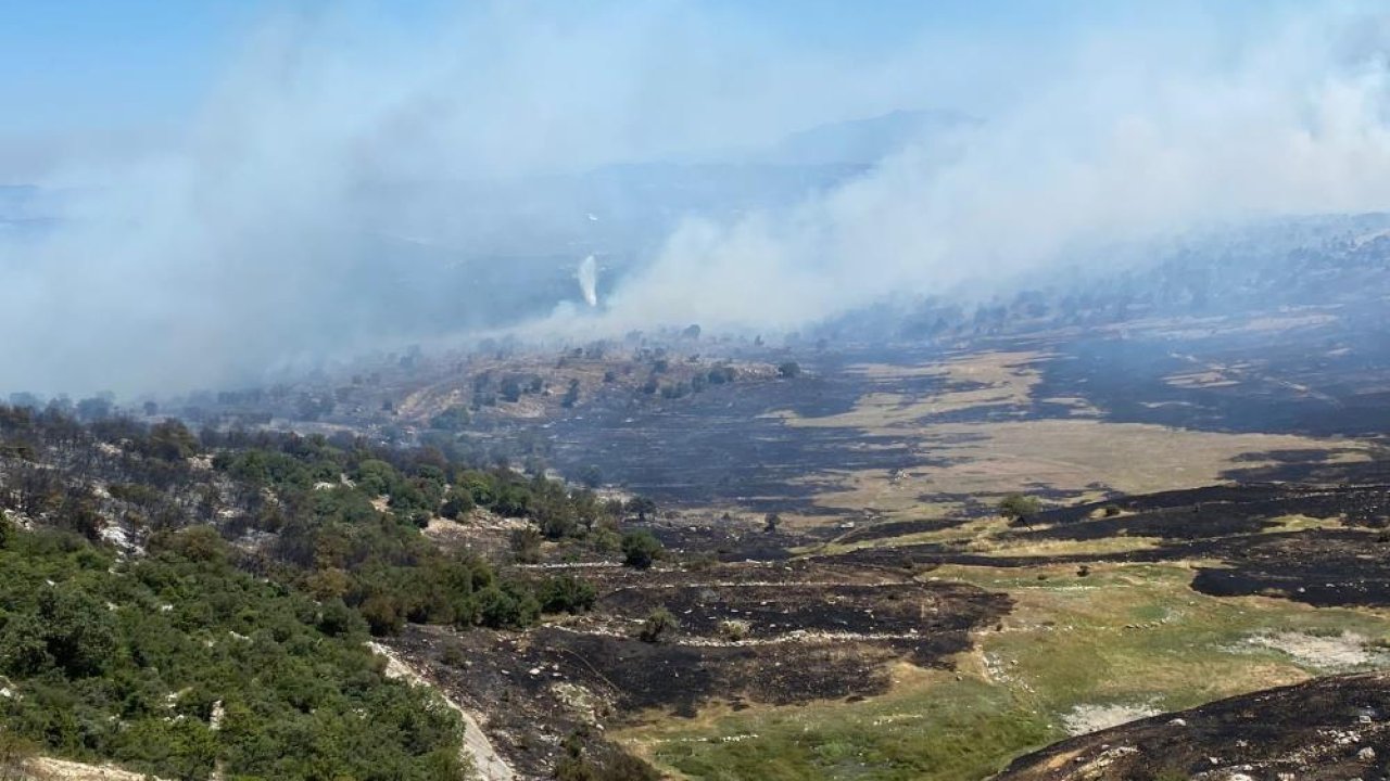 Manisa’daki orman yangınında bir mahalle boşaltıldı