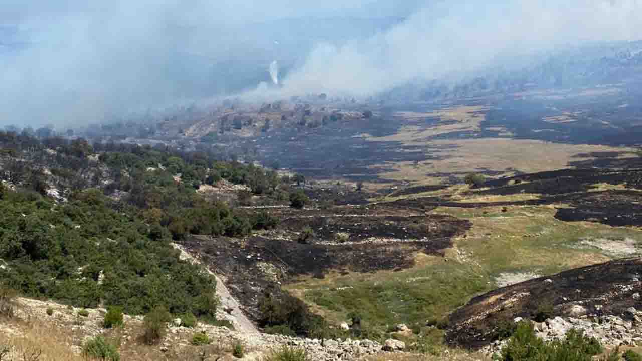 Manisa'da orman yangını nedeniyle bir mahalle tahliye edildi