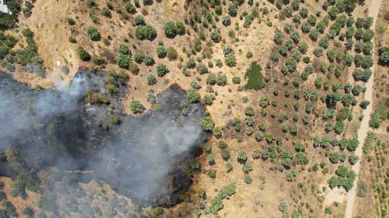 Manisa'da orman yangını 5 saat sonra kontrol altına alınabildi