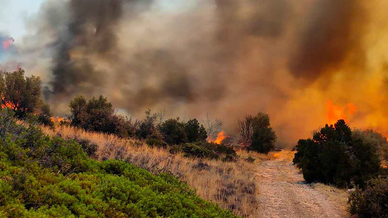 Manisa Balıkesir ve İzmir'de orman yangını evlere sıçradı tahliyeler başladı
