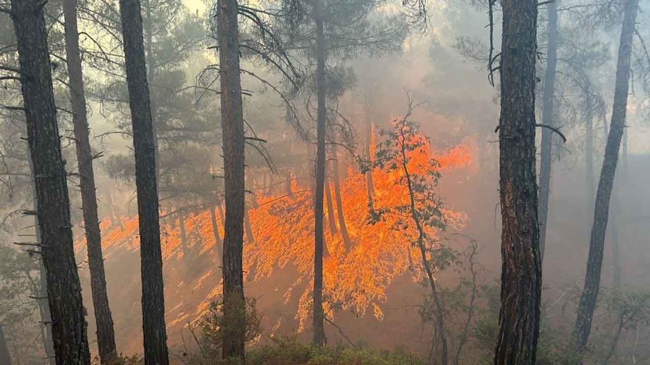 İzmir Sarnıç Gaziemir Buca orman yangını son dakika!