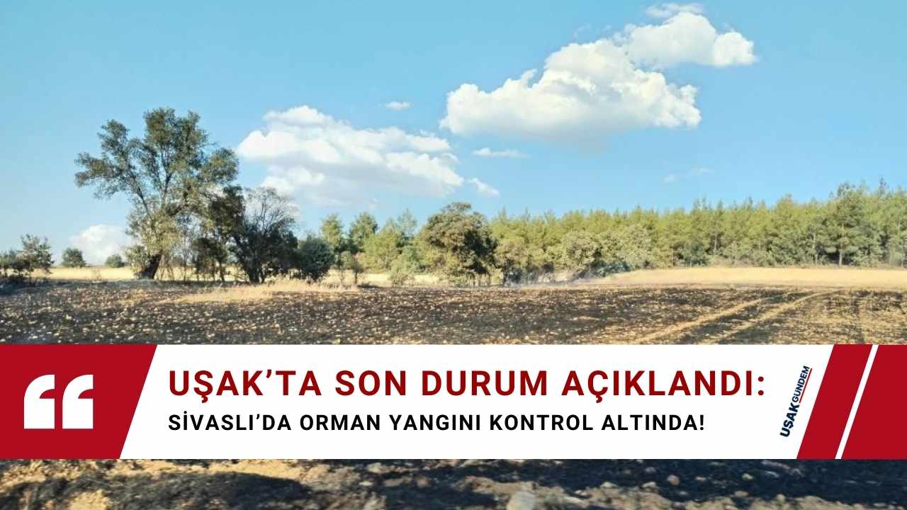 Uşak Sivaslı'da orman yangını kontrol altına alındı!