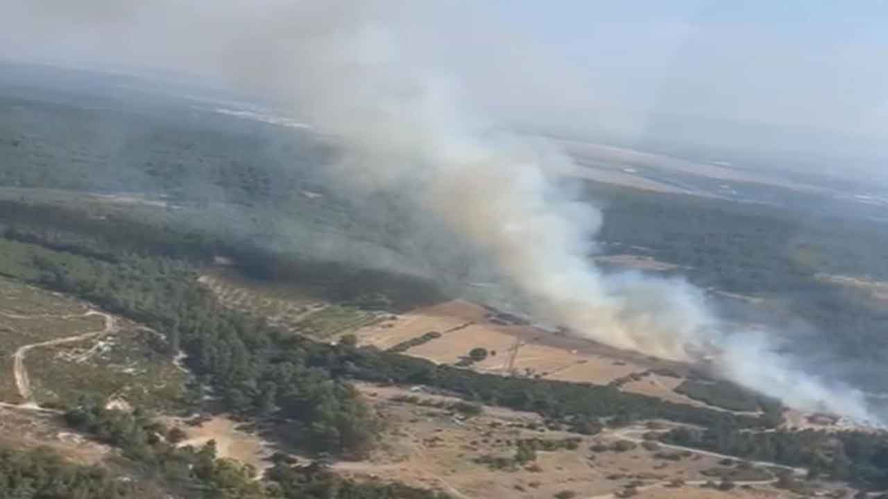 İzmir Buca'da son dakika yeni orman yangını!