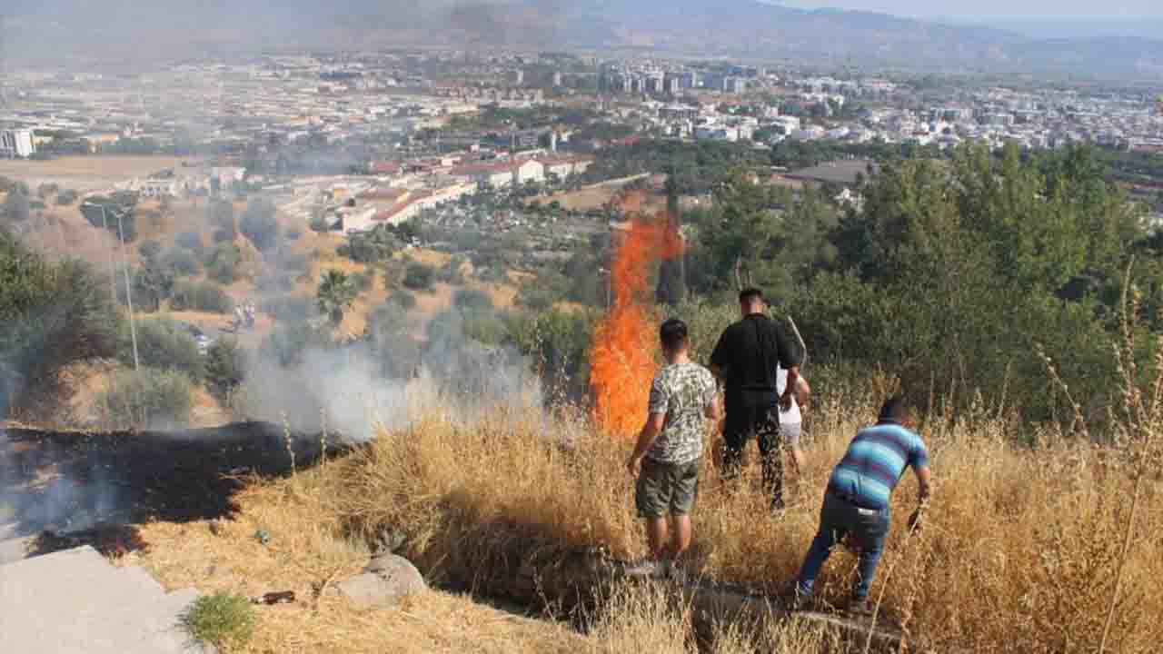 Aydın'da çıkan yangında alevler üniversite kampüsüne ilerliyor
