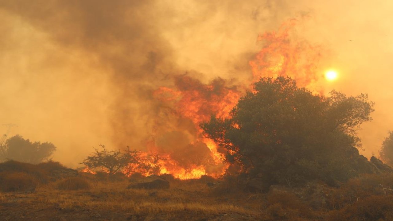 İzmir’deki orman yangınından 8 saat sonra iyi haber geldi