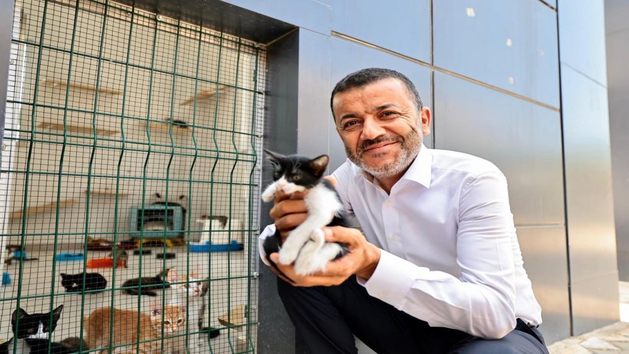 Denizli Büyükşehir Belediye Başkanı Çavuşoğlu’ndan sokak hayvanları açıklaması