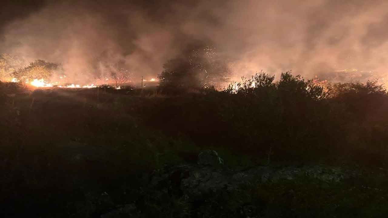 Manisa Saruhanlı'da ağaçlık alanda yangın