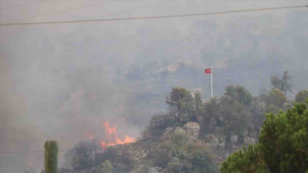 Aydın'da orman yangını söndürme çalışmaları sürüyor