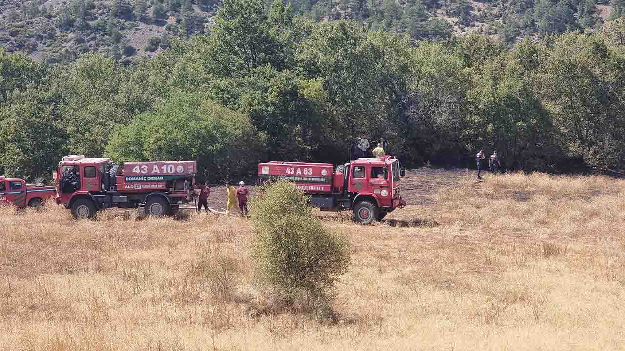 Kütahya'da düşen yıldırım orman yangını çıkardı