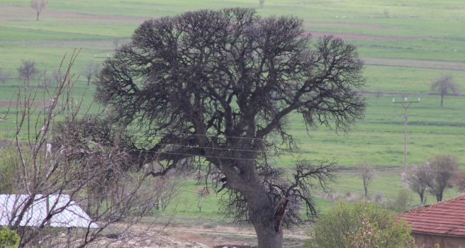 Bu köyde 500 yıllık gelenek hala yaşatılıyor