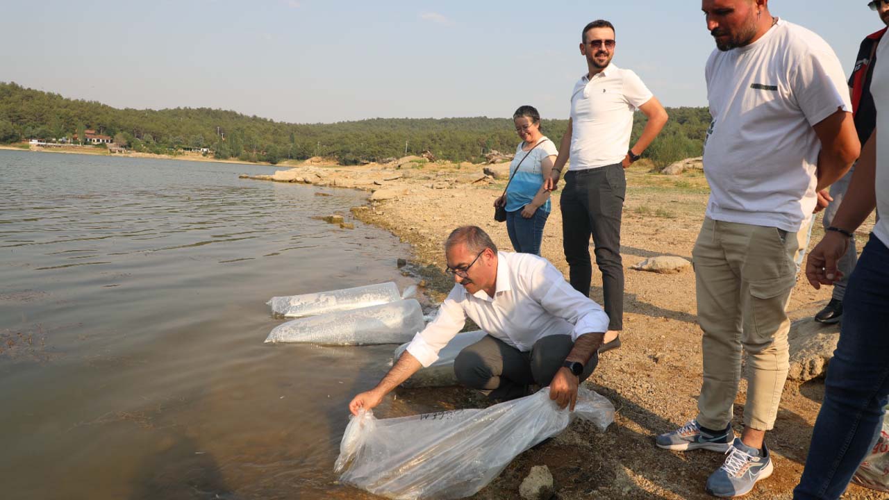 Uşak'ta 17 Gölette Sazan Balığı Yavrusu Bırakıldı