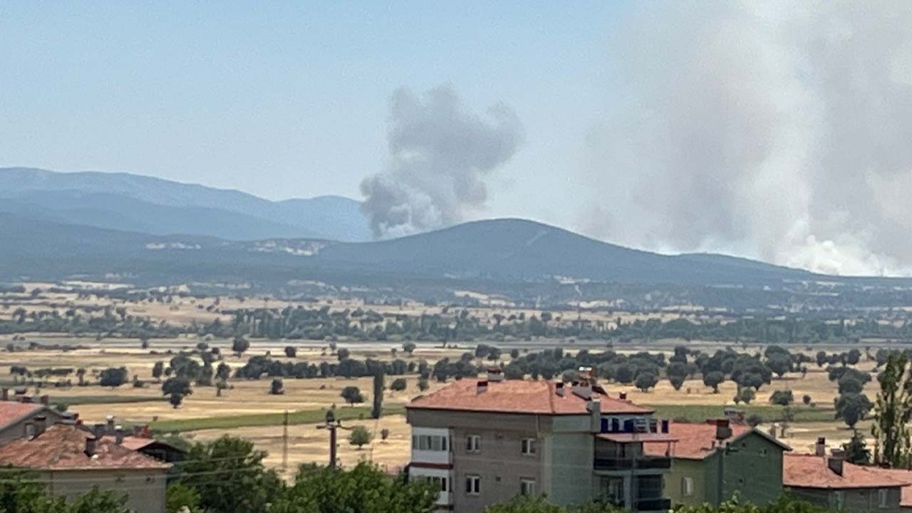Uşak'ta meşelik alanda çıkan yangına müdahale ediliyor