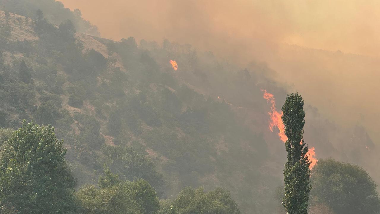 Uşak'ta orman yangınına müdahale ediliyor