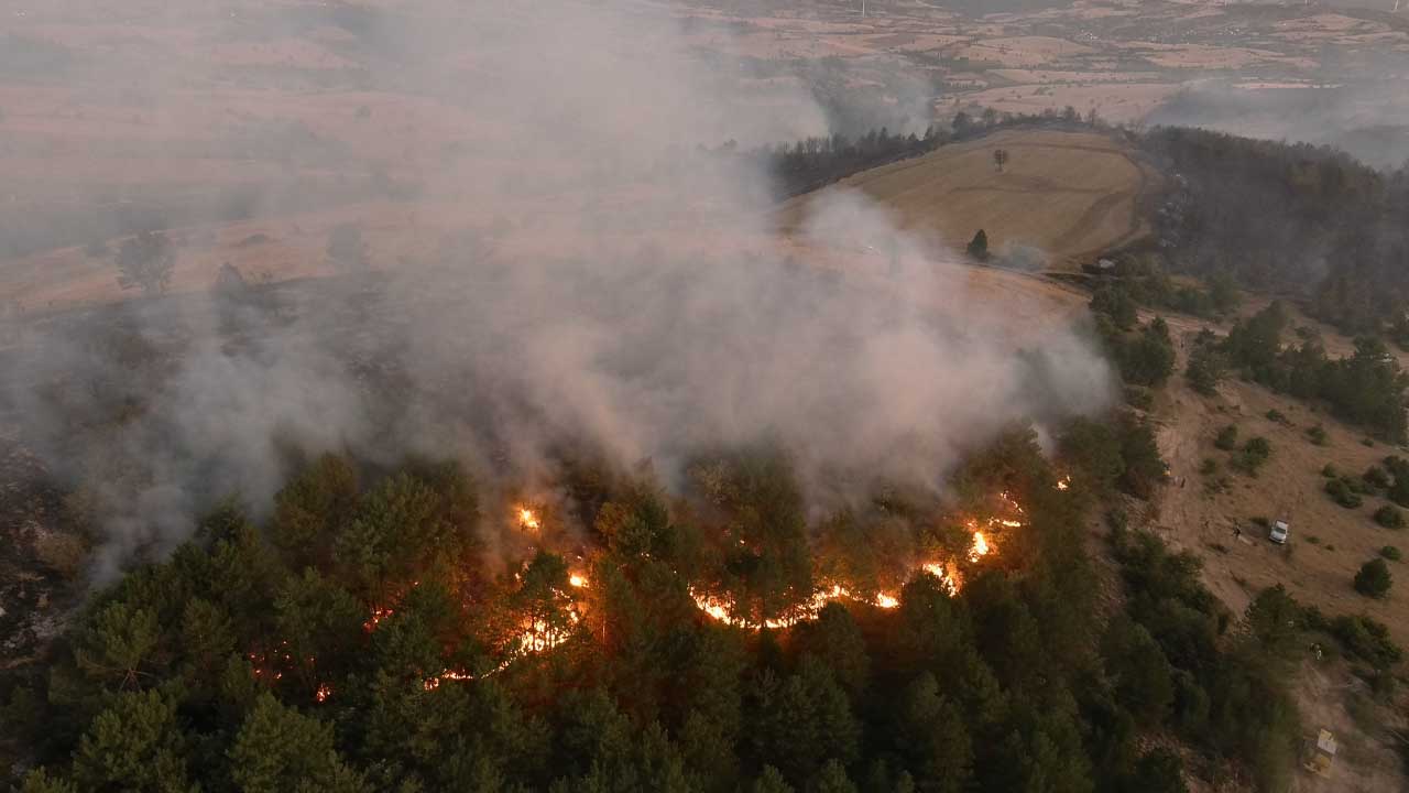 Dumlupınar ilçesi ormanlık alanda çıkan yangına müdahale ediliyor
