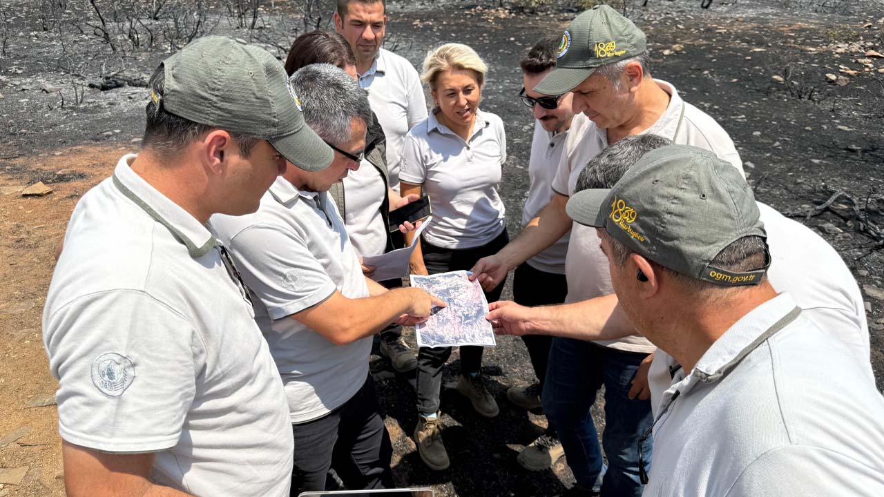 Uşak'ta yanan ormanlar yeniden yeşerecek
