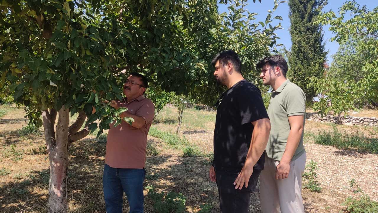 Uşak Tarım İl Müdürlüğü’nden meyve bahçelerinde zararlı denetimi