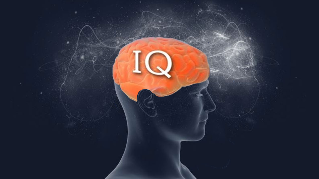 IQ Araştırmasında Uşak 17. sırada yer aldı IQ ortalaması kaç çıktı?