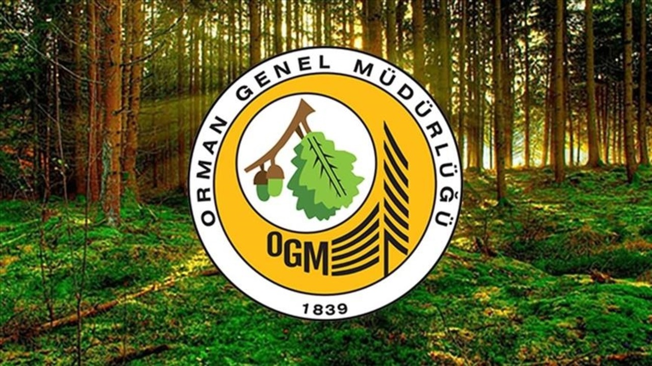 Orman Genel Müdürlüğü işçi alımı yapıyor, Uşak’a kaç kadro ayrıldı