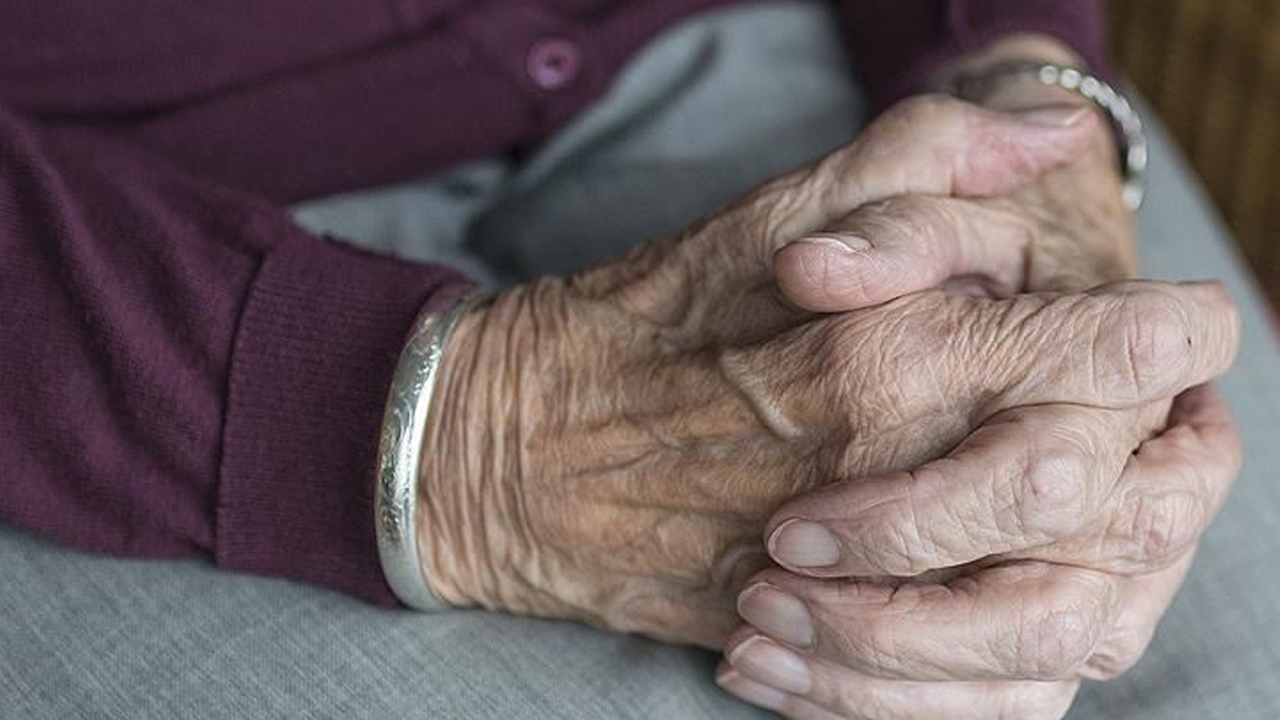 Primle Güvence Modeli, Yaşlılık Sigortası İçin Düğmeye Basıldı
