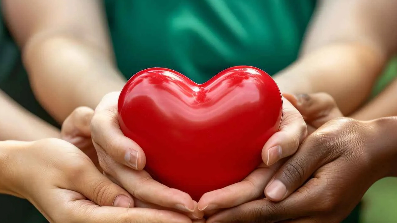 Organ Bağışında e-Devlet Kolaylığı 18 Yaşını Dolduran Herkes Başvurabiliyor