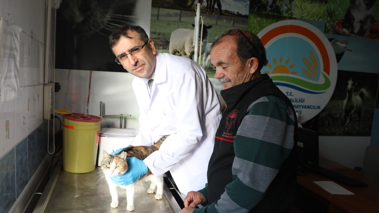 Uşak’ta Kedi ve Köpek Sahipleri Dikkat Mikroçipte Geri Sayım Başladı