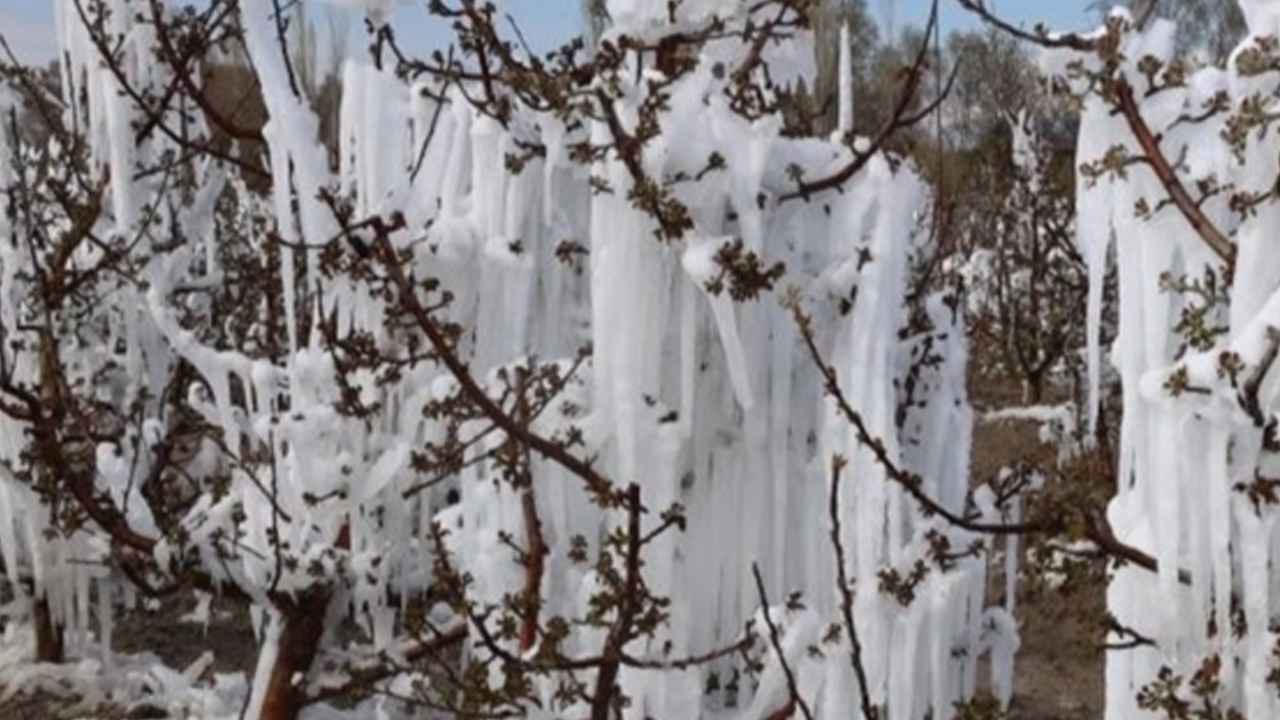 Uşak'ta Hafta Sonu İçin Meteorolojiden Zirai Don Uyarısı
