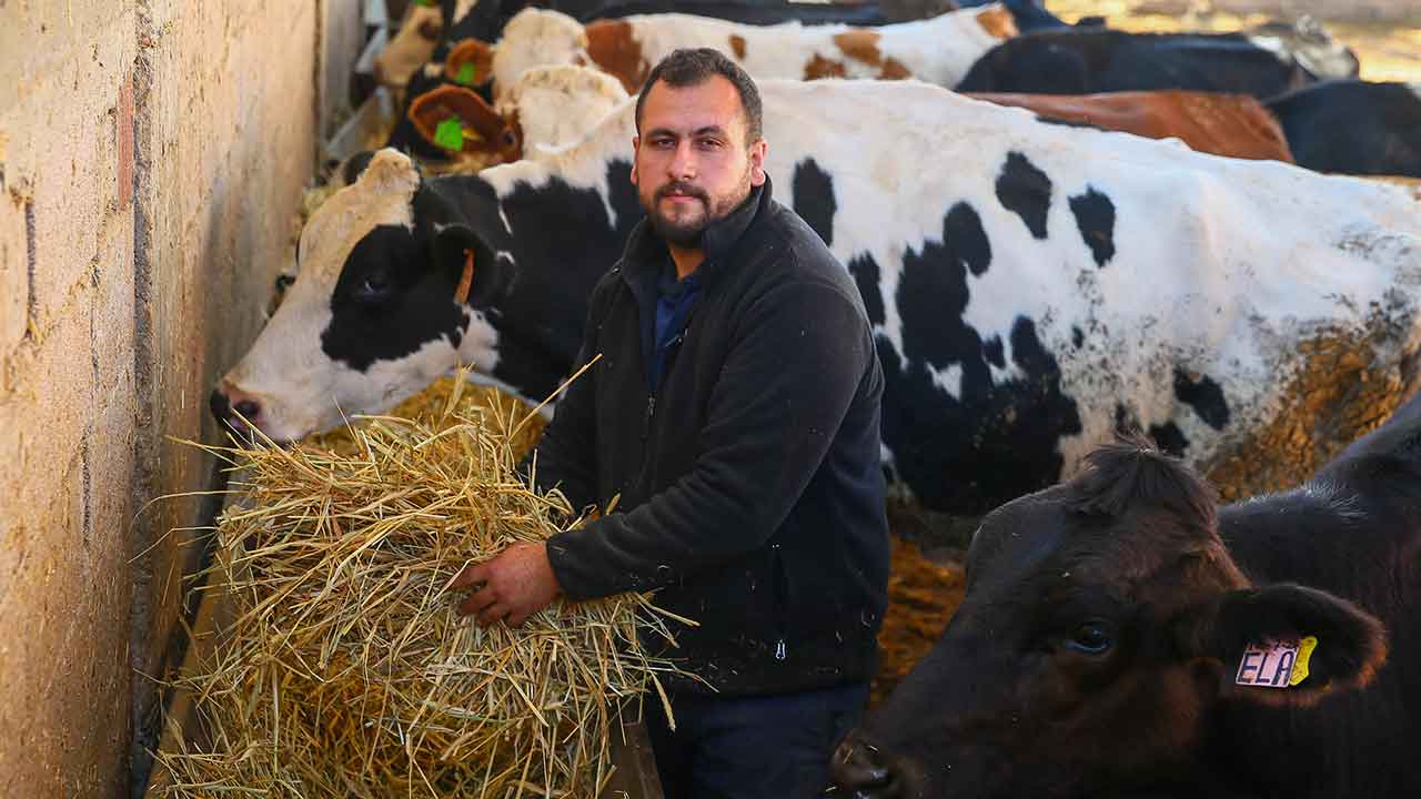 Uşak'ta 4 inekle hayvancılığa başlayan genç mühendis çiftliğini kurdu