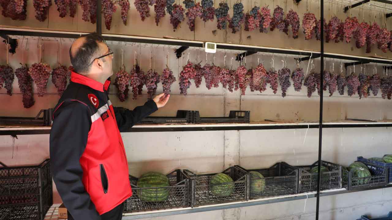 Uşak’ta Tarımsal İşletmelere Yakın Takip İl Müdürü Bilir Sahada