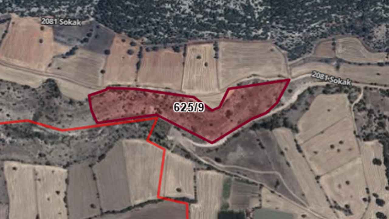 Uşak Merkez’de 30.230 m² Tarım Arazisi İhaleyle Satılacak