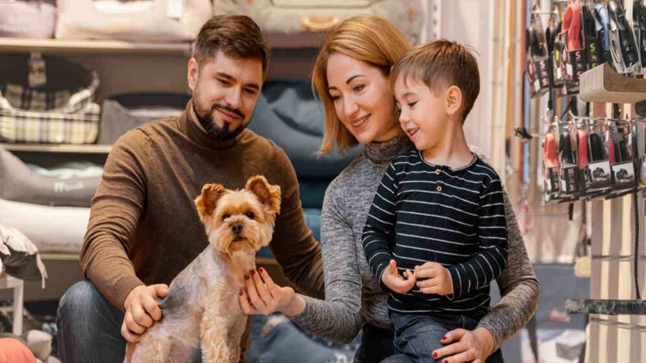 Uşak Belediyesi Petshop İşletmecilerine Ücretsiz Eğitim Düzenleyecek