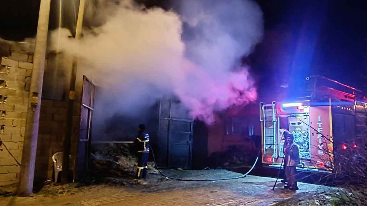 Banaz'da çıkan yangında 5 koyun telef oldu