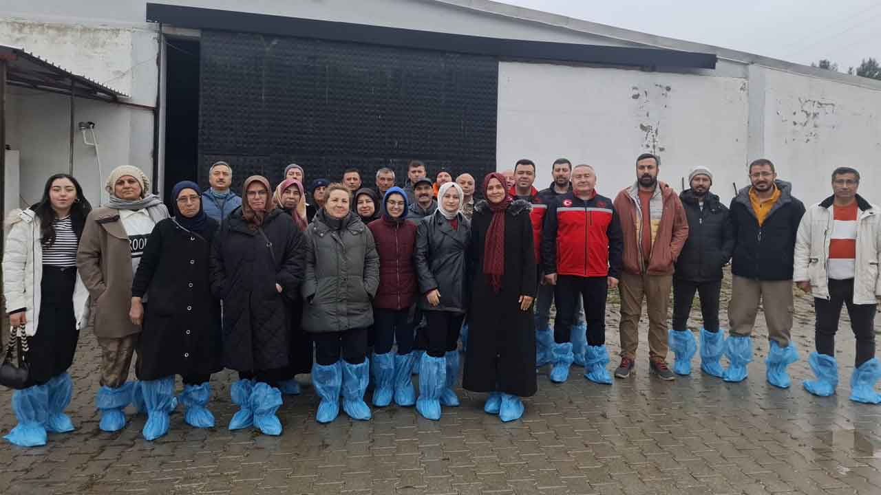 Uşak’ta Küçükbaş Hayvancılığa Uygulamalı Eğitim Hamlesi