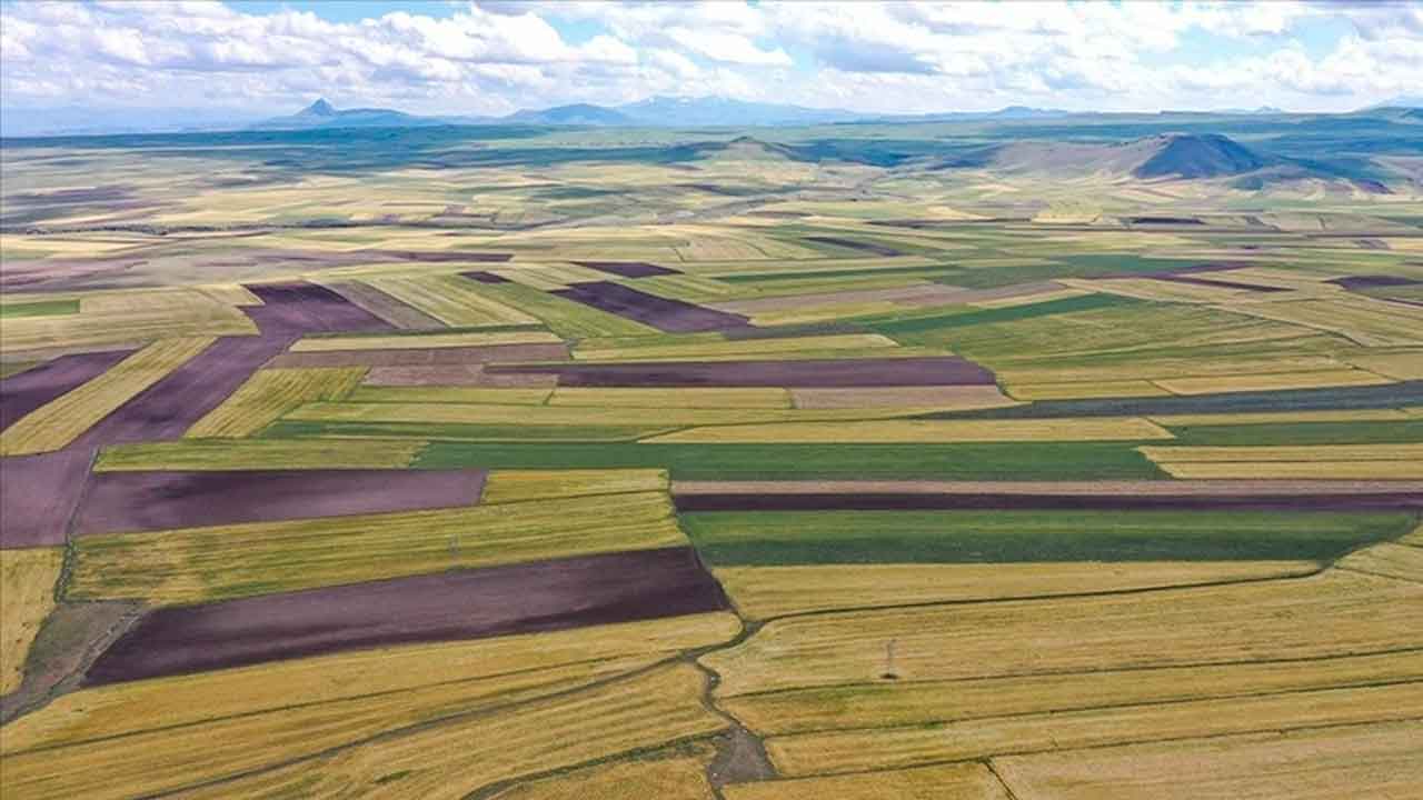 Tarla Fiyatları Enflasyonu Yenemedi, Uşak’ta Rakamlar Nasıl?