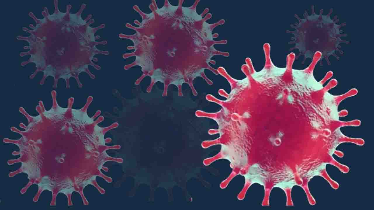Yeni Küresel Tehdit mi? Nipah Virüsü İçin Kritik Uyarı