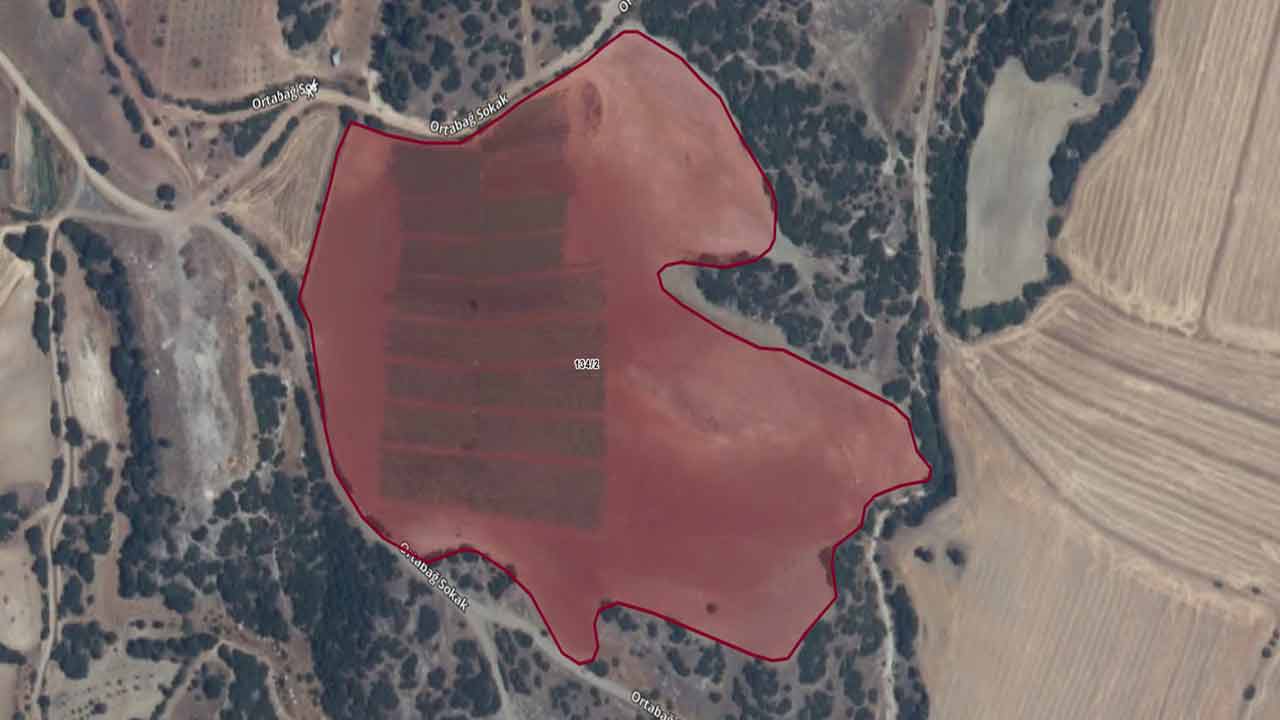 Uşak Merkez’de Dev Arazi Satışta 51 Bin Metrekare Tarla İçin İhale Tarihi Açıklandı