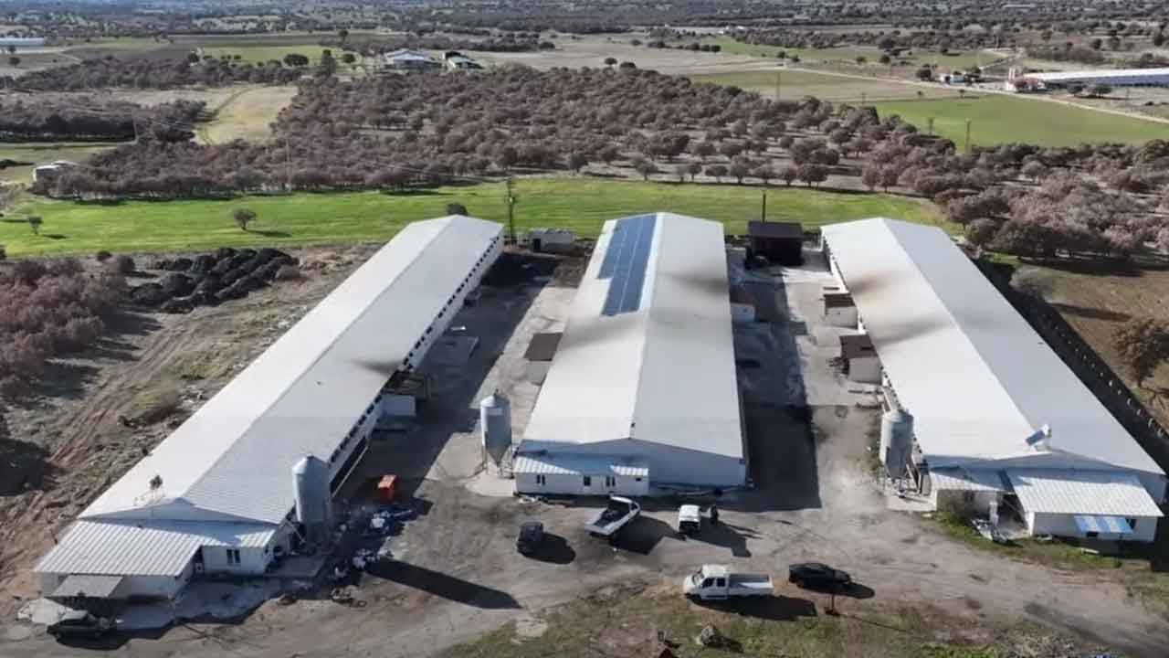 Uşak’ta Kırsal Kalkınma Hızlandı Modernizasyon Projesi Tamamlandı