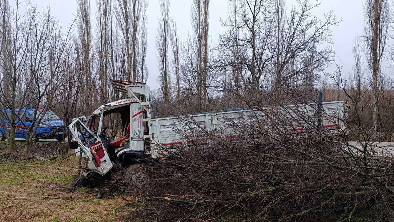 Uşak'ta kamyonun ağaçlara çarpması sonucu 4 kişi yaralandı