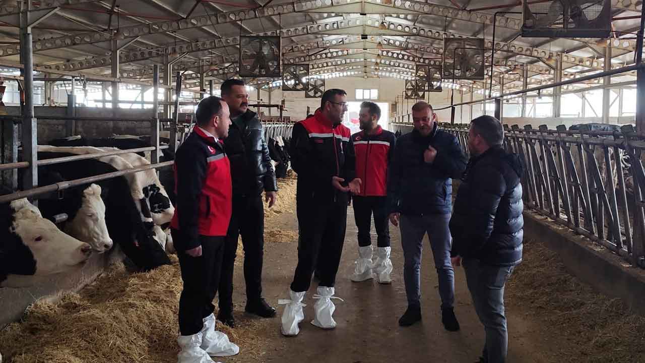 Ulubey’de Sürdürülebilir Hayvancılık İçin Sahada İnceleme