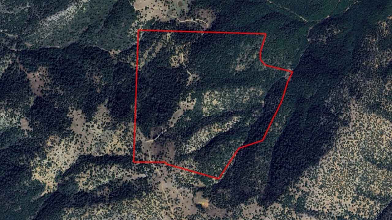 Banaz Ulupınar'da Planlanan Mermer Ocağı Projesi İptal Edildi