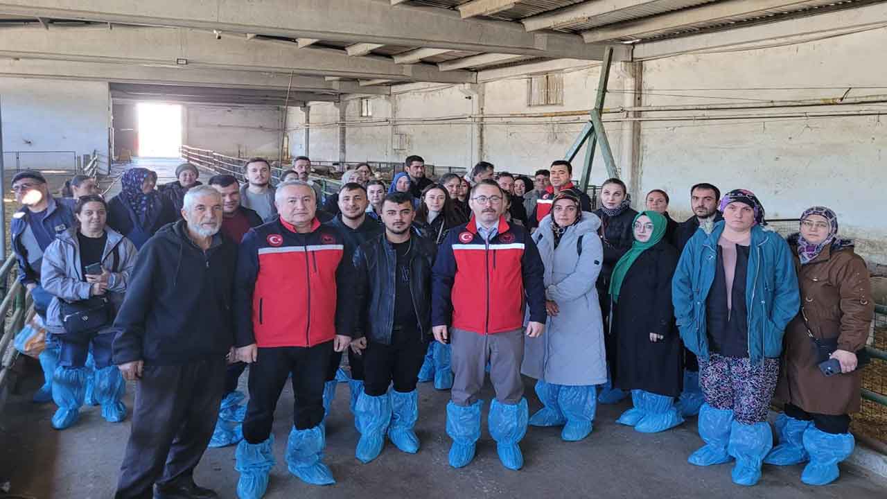 Uşak’ta Küçükbaş Hayvancılığa Eğitim Desteği