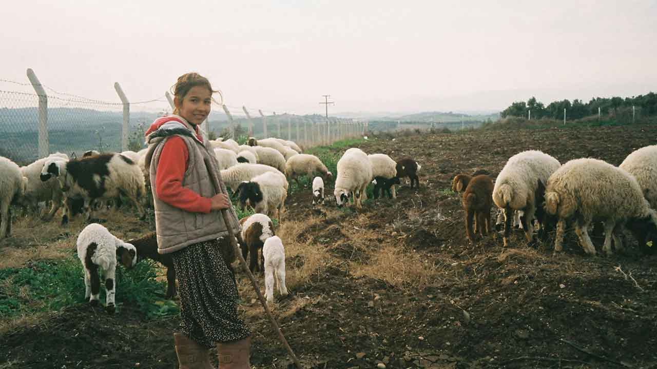 Uşak İl Özel İdaresi'nden Çobanlara Destek Yaşam Alanı Projesi Başladı