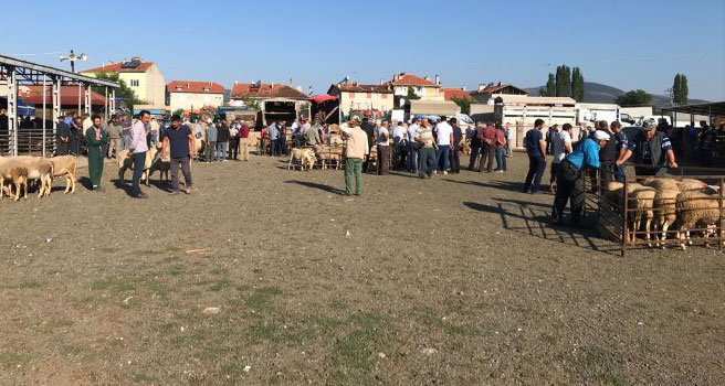Banaz'da "kurban" hareketliliği başladı