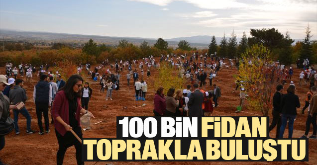 Uşak'ta 100 bin fidan toprakla buluştu
