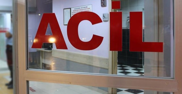 Uşak'ta ceviz ağacından düşen kişi hastaneye kaldırıldı